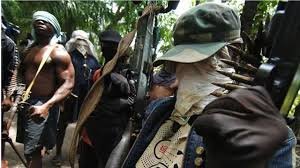 Fulani herdsmen invades Onicha - Ugbo Community in Delta State,  Kidnap two