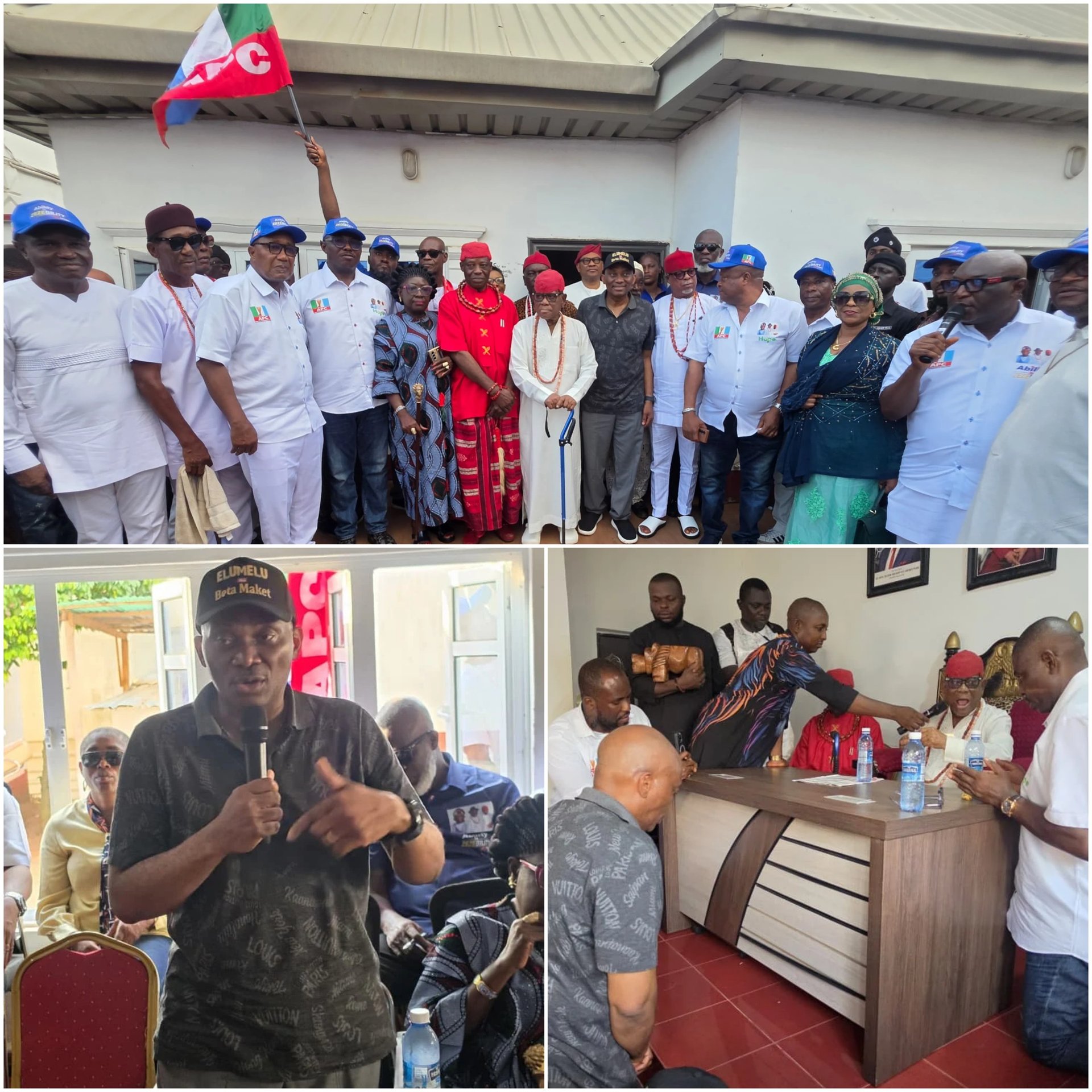 2027: Elumelu Takes Campaign of Consultation to Obi of Ibusa, Seeks Royal Blessings