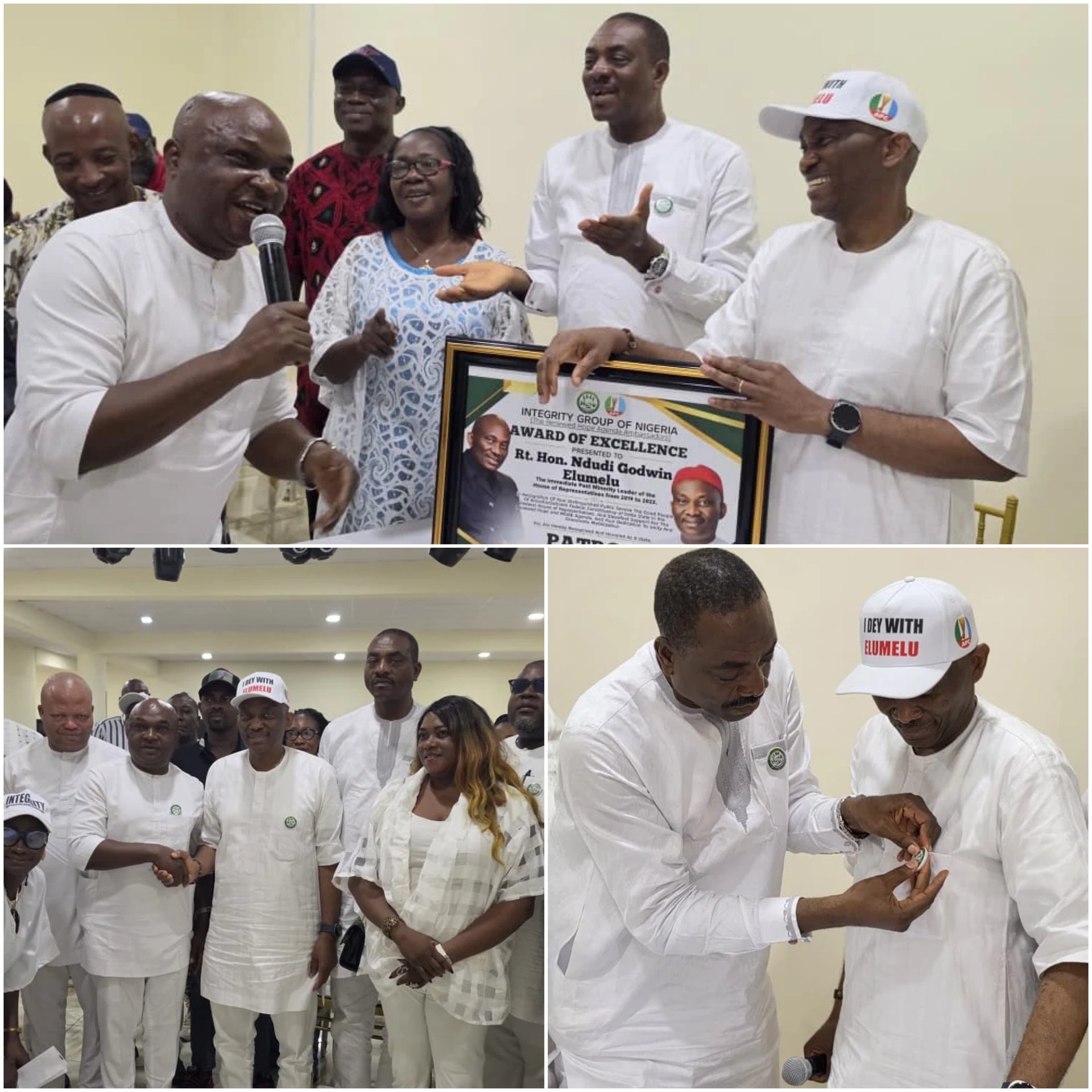 2027: Elumelu Gets Fresh Boost as Integrity Group Backs His Bid