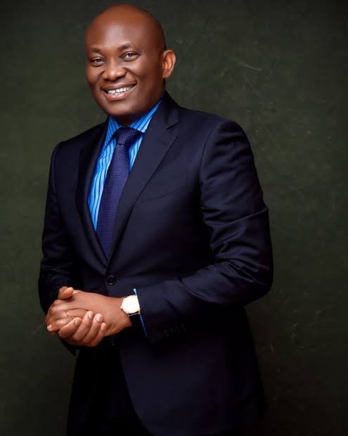 Elumelu Backs State Police, Demands Strong Safeguards Against Abuse